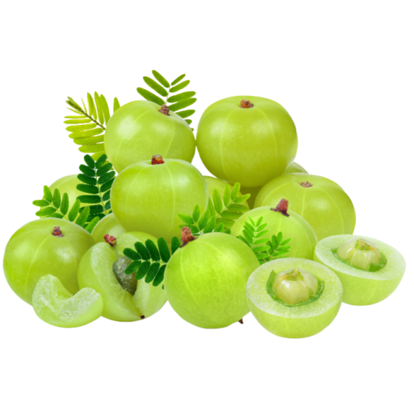 Amla hair oil - Image 3