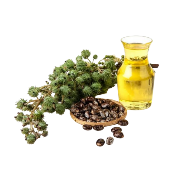 Jamaican castor Hair oil - Image 3