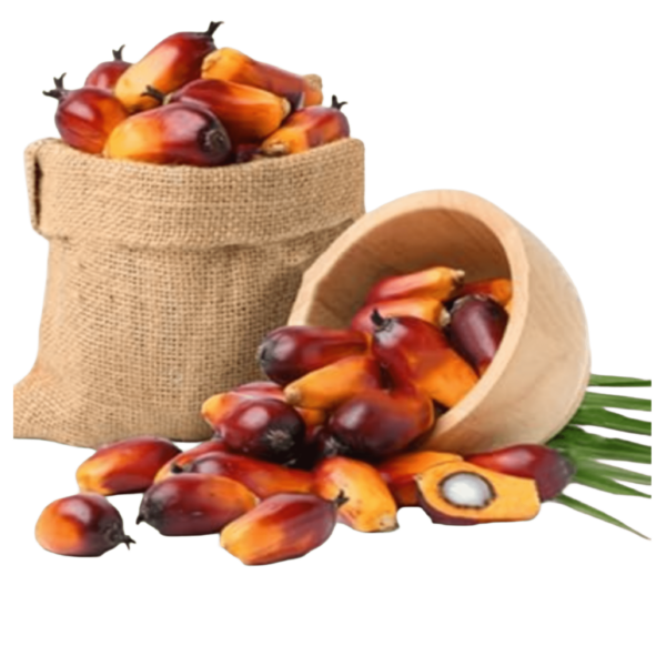 Hair fuel oil - Image 4