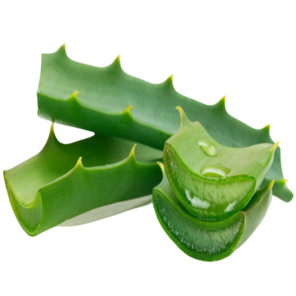 Aloe vera shampoo - Image 3