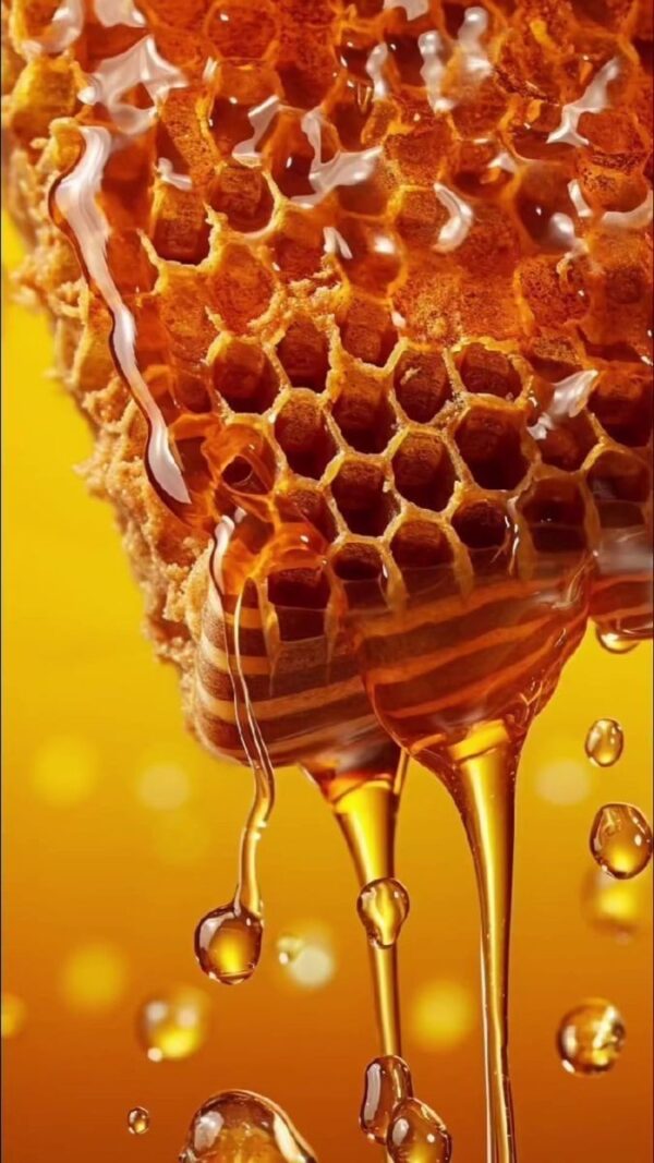 Wild flower honey with Honey Comb 1000g - Image 4